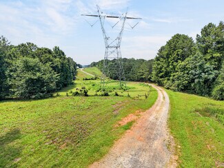 Plus de détails pour 8650 Thomaston Rd, Macon, GA - Terrain à vendre