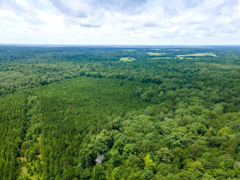 2539 FM 995, Atlanta, TX for sale - Building Photo - Image 2 of 66