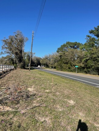 More details for SR 46 Sr, Sorrento, FL - Land for Sale