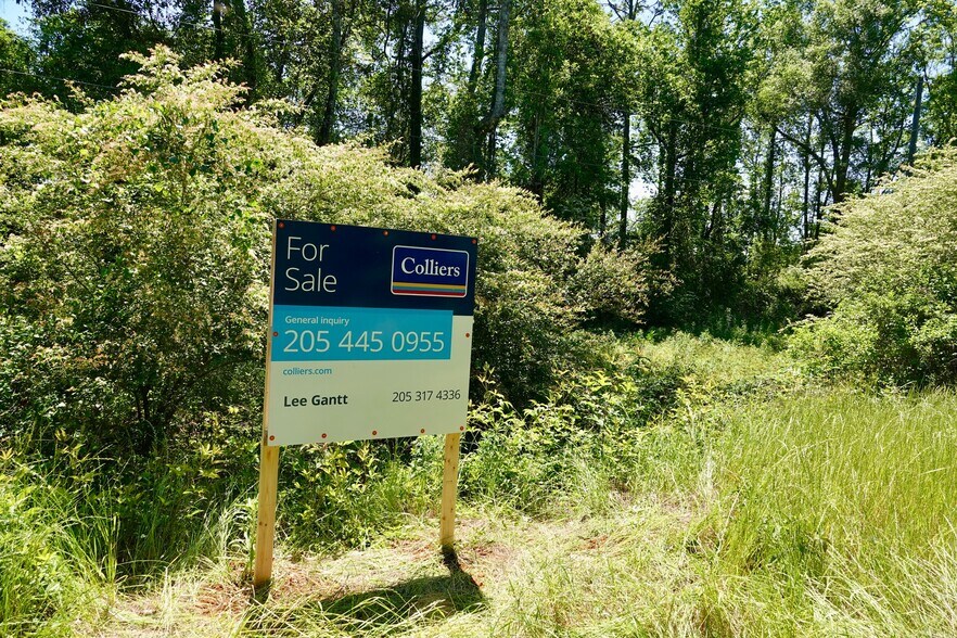 Merritt Rd, Malvern, AL for sale - Primary Photo - Image 1 of 11
