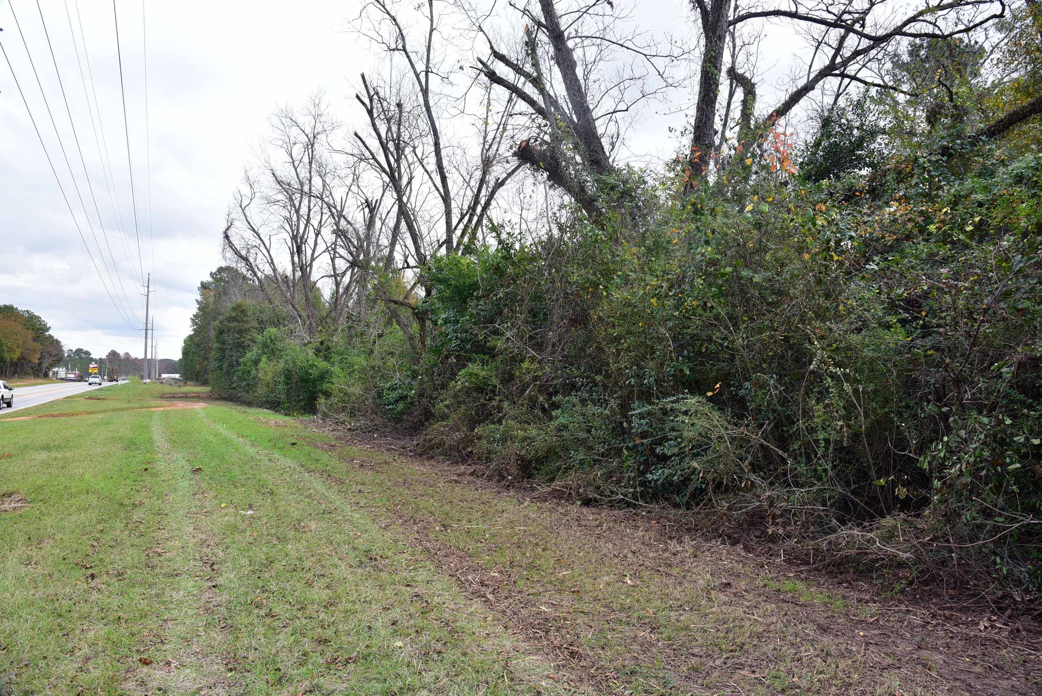 1303 Nancy Dr, Albany, GA for sale Building Photo- Image 1 of 16