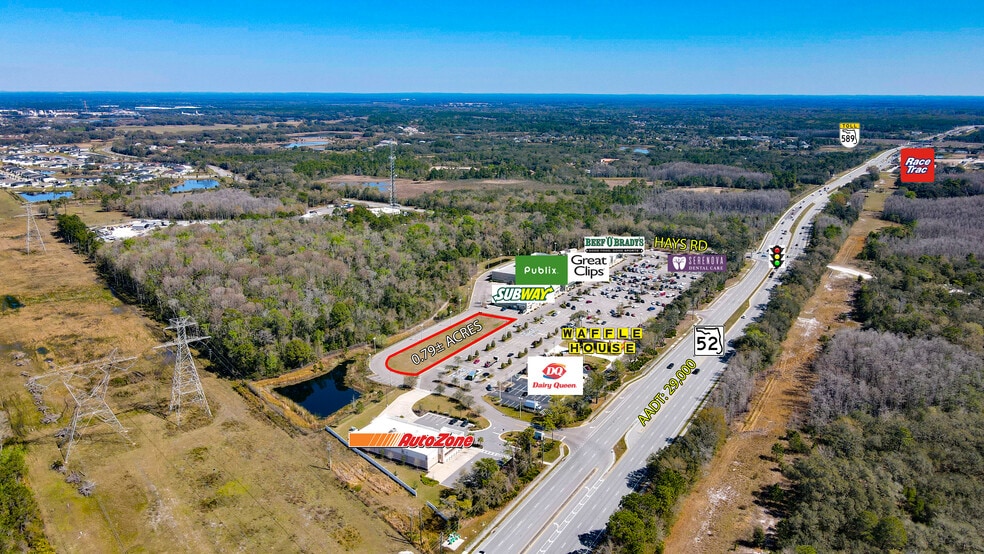 SR 52 & Hays Rd, Hudson, FL à vendre - Photo du bâtiment - Image 2 de 2