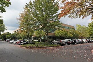 Plus de détails pour 259 N Radnor-Chester Rd, Radnor, PA - Bureau à louer