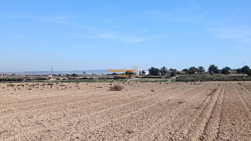 Terrain dans Elche, Alicante à vendre - Aérien - Image 1 de 2