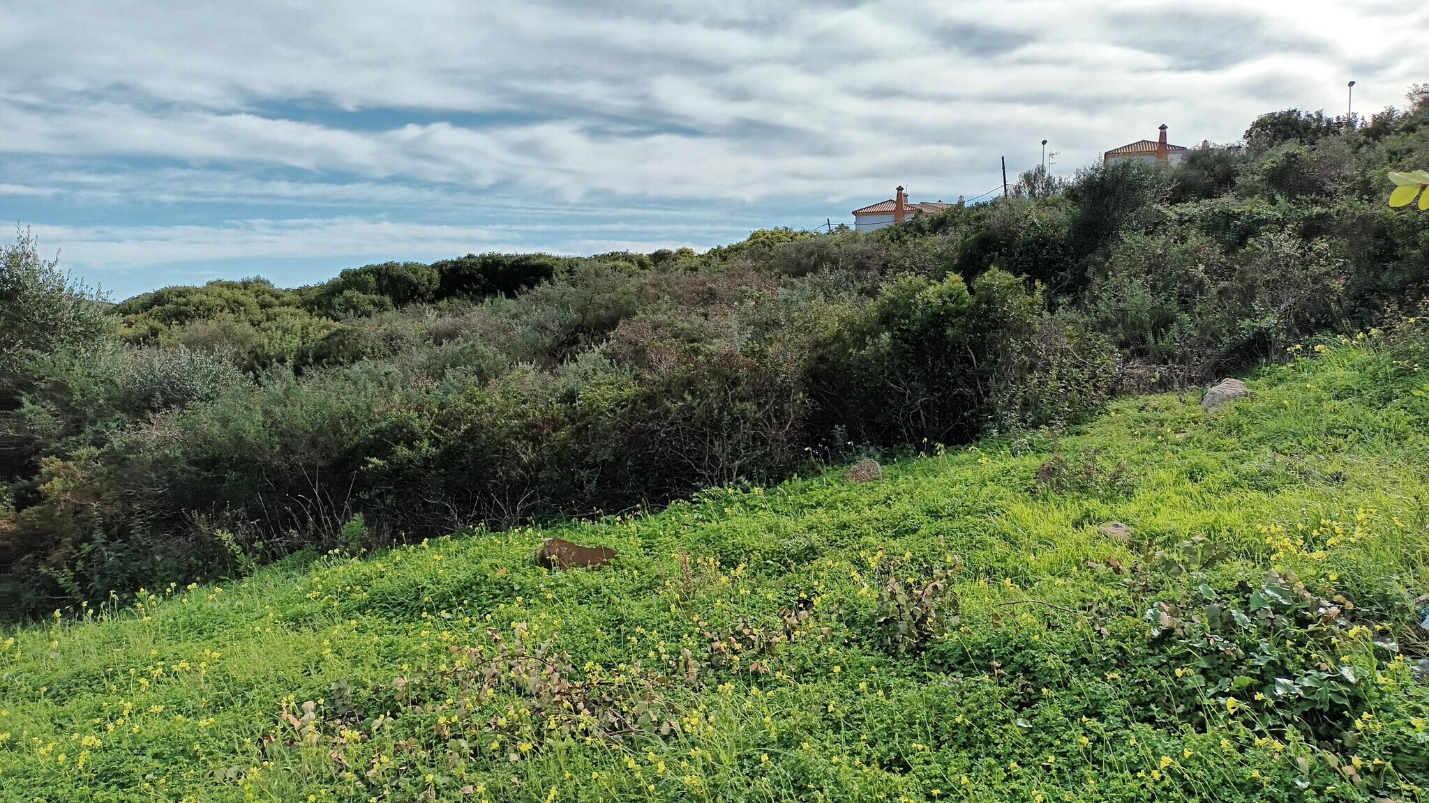 Land in La Línea de la Concepción, Cádiz for lease Building Photo- Image 1 of 10
