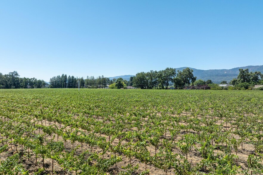 79 Zinfandel Ln, Saint Helena, CA à vendre - Photo du bâtiment - Image 3 de 9