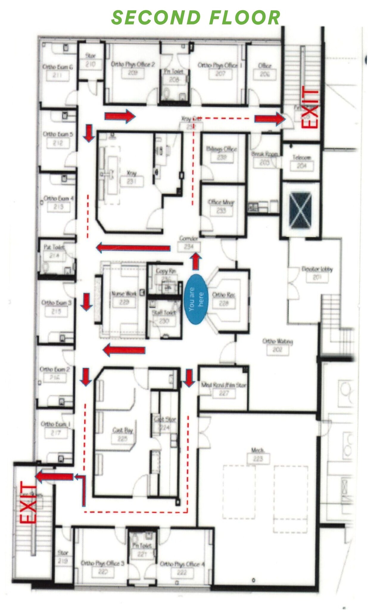 3526 Longmire Dr, College Station, TX for lease Floor Plan- Image 1 of 1