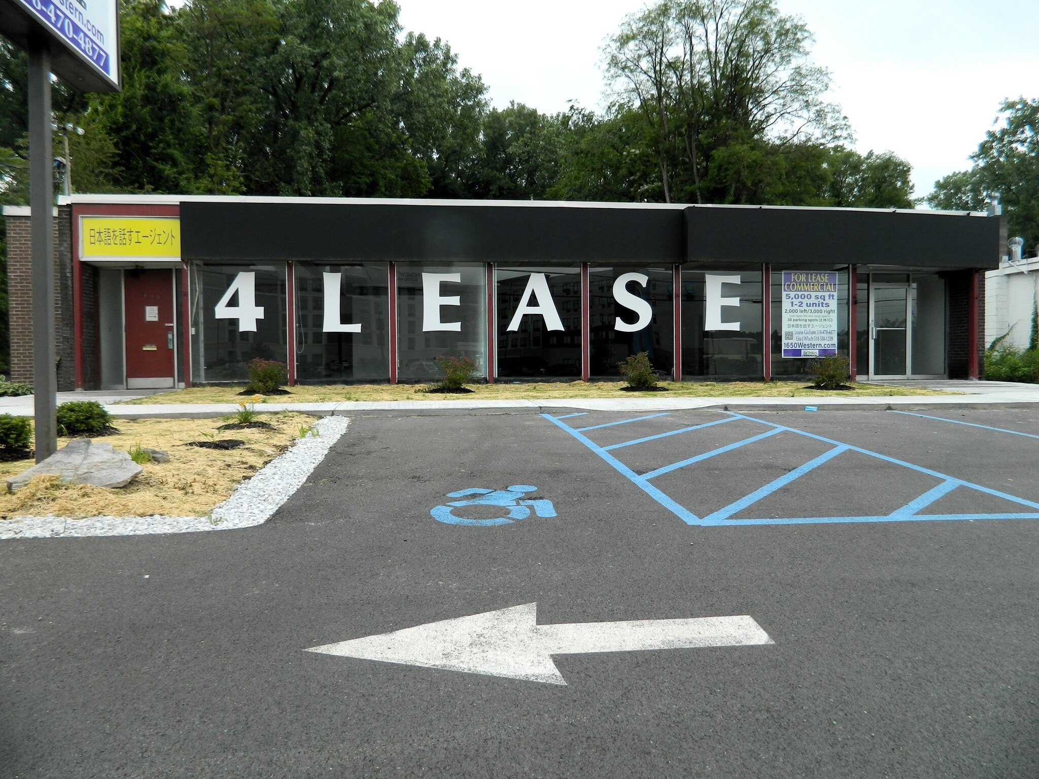 1648 Western Ave, Albany, NY for lease Primary Photo- Image 1 of 5