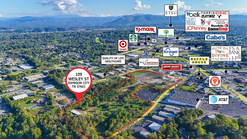 109 Wesley St, Johnson City, TN à vendre - Photo principale - Image 1 de 2