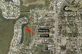 Plus de détails pour 00 Ulelah Ave, Palm Harbor, FL - Terrain à vendre