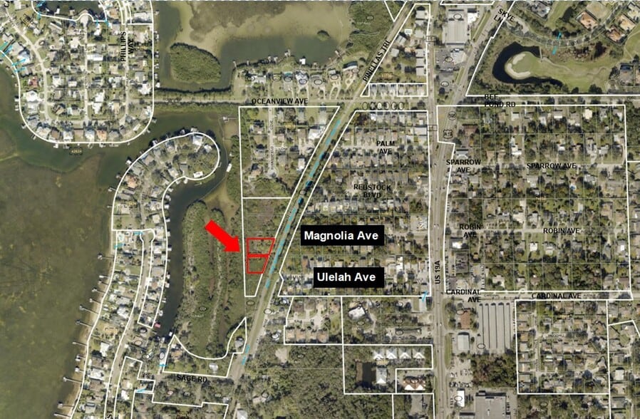 00 Ulelah Ave, Palm Harbor, FL à vendre - Photo du bâtiment - Image 1 de 2