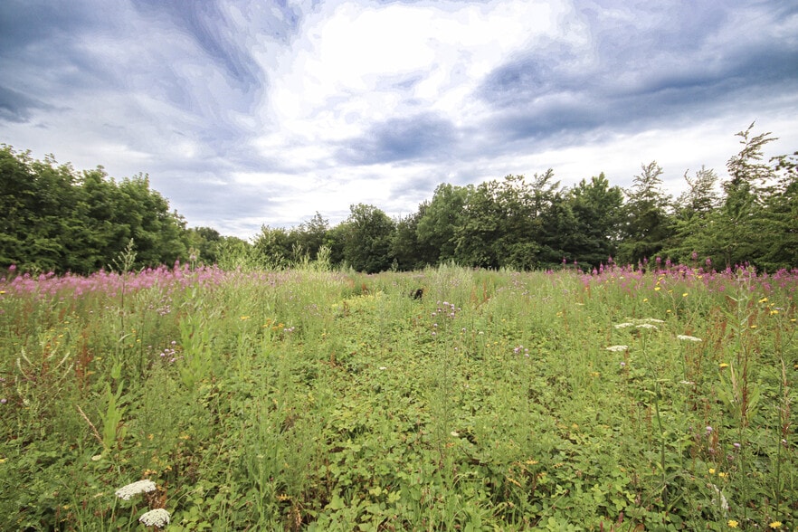 Common Rd, Blue Bell Hill for sale - Other - Image 3 of 6