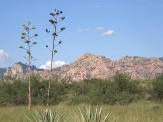 Plus de détails pour E Cochise Trl, Saint David, AZ - Terrain à vendre