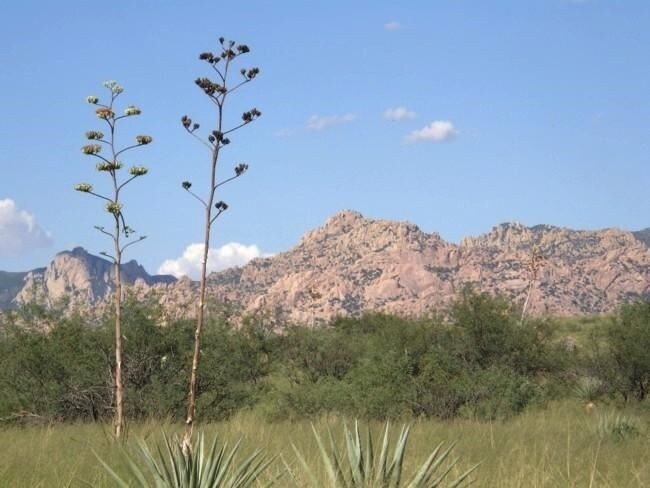 E Cochise Trl, Saint David, AZ for sale Other- Image 1 of 5