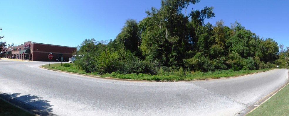 193 Ashton Park Dr, Millbrook, AL à vendre - Photo du bâtiment - Image 2 de 2