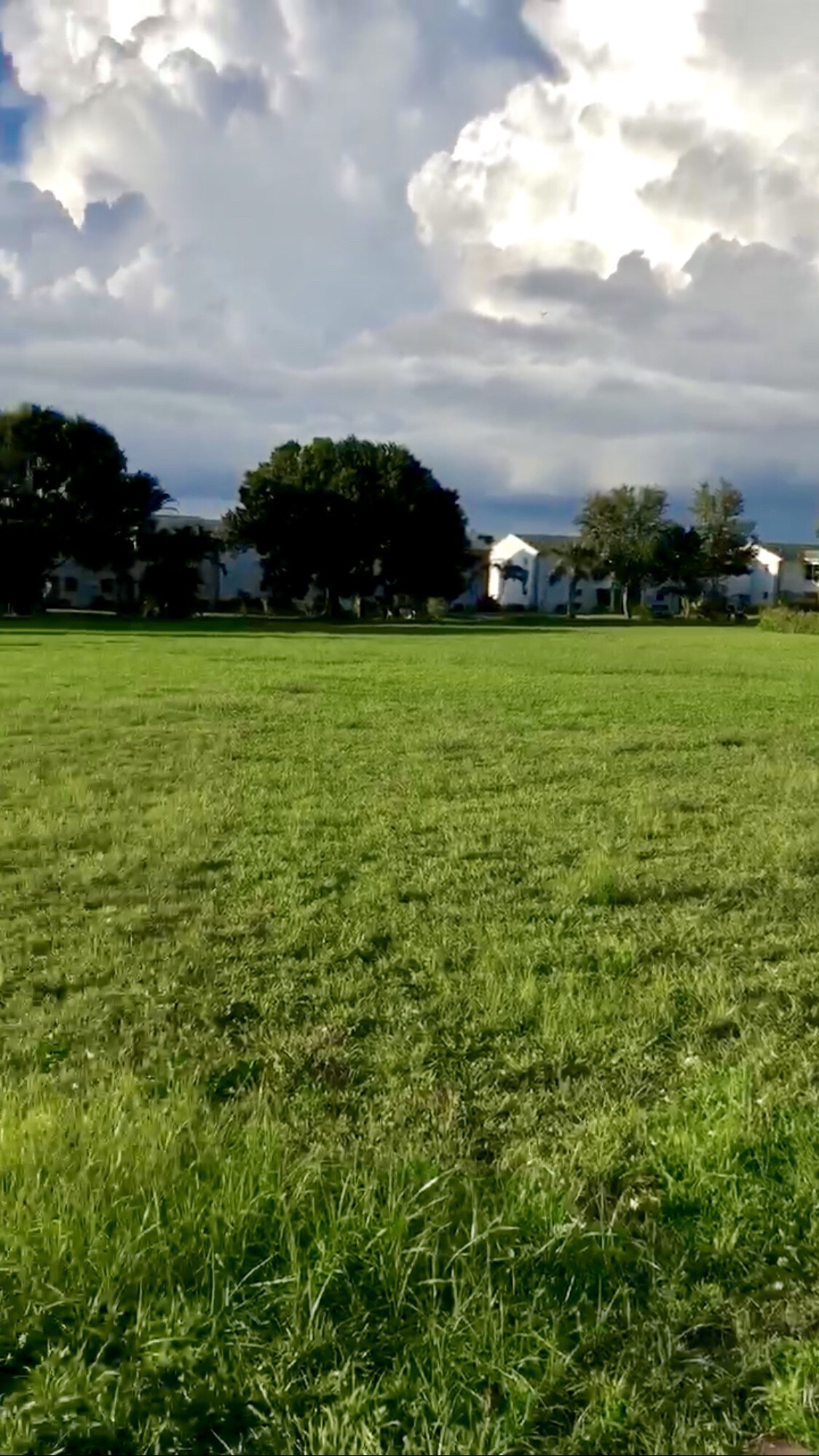 7050 Winkler Rd, Fort Myers, FL à louer Photo principale- Image 1 de 7