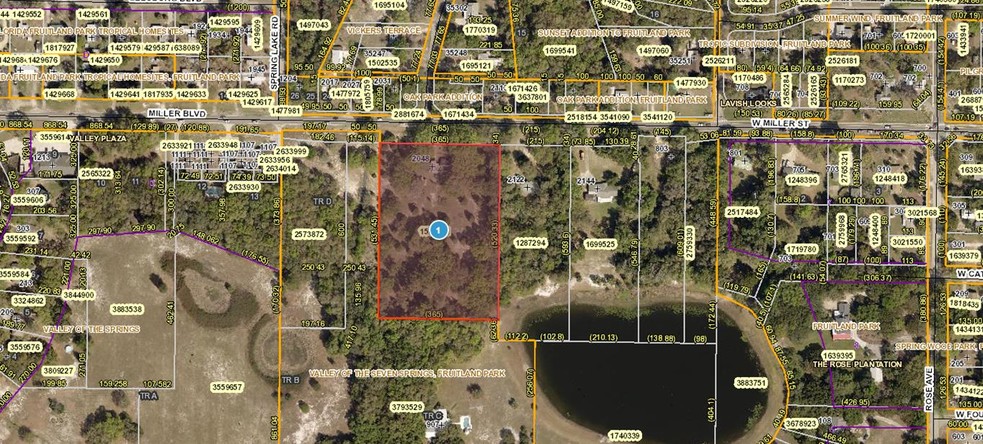 2048 Miller Blvd, Fruitland Park, FL à vendre - Autre - Image 1 de 12