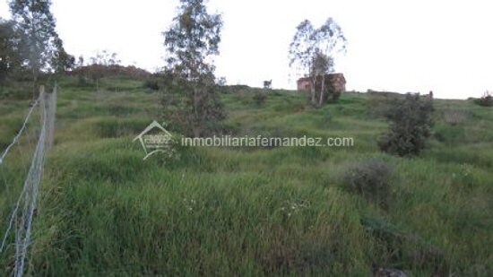 Land in Cáceres, Cáceres for sale - Primary Photo - Image 3 of 10