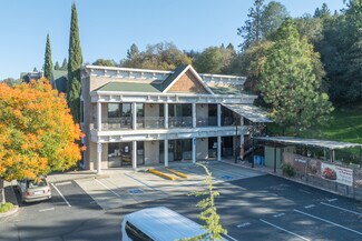 Plus de détails pour 768 Pleasant Valley Rd, Diamond Springs, CA - Bureau à vendre