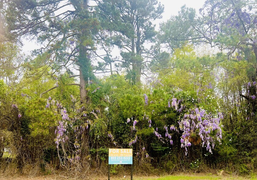 2785 Saint Matthews Rd, Orangeburg, SC à vendre - Autre - Image 2 de 5