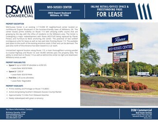 Plus de détails pour Route 113, Millsboro, DE - Commerce de détail à louer