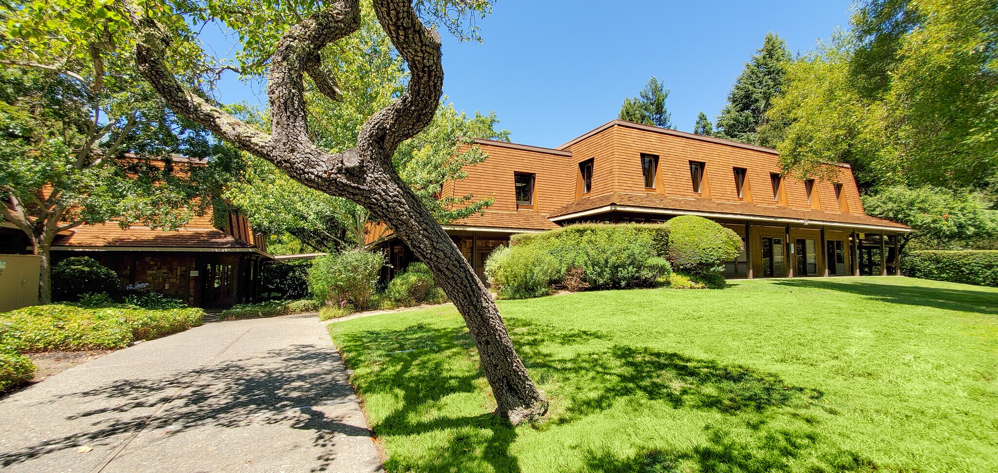 7 Mount Lassen, San Rafael, CA à louer Photo du bâtiment- Image 1 de 11