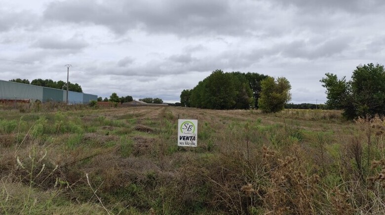 Land in Fuenterrebollo, Segovia for sale - Other - Image 3 of 3