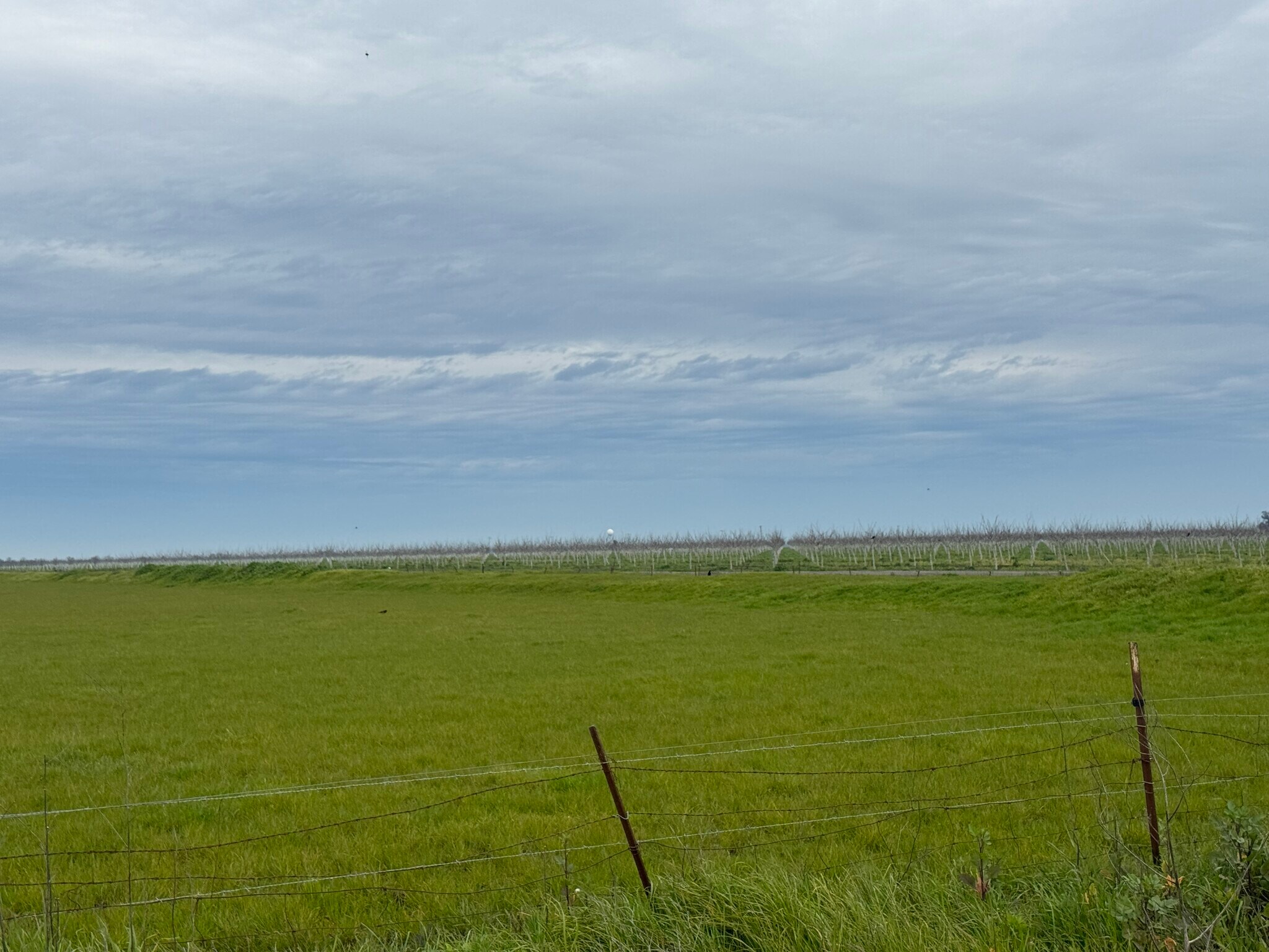 Hyde Rd, Dixon, CA à vendre Photo principale- Image 1 de 18