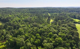 More details for 1380 County Road 2510, Alto, TX - Land for Sale