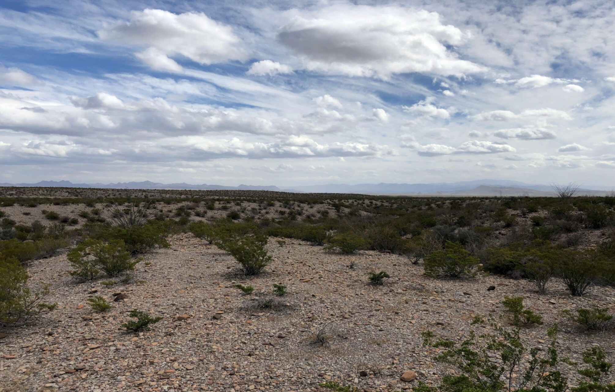 Fm 170, Presidio, TX à vendre Autre- Image 1 de 8