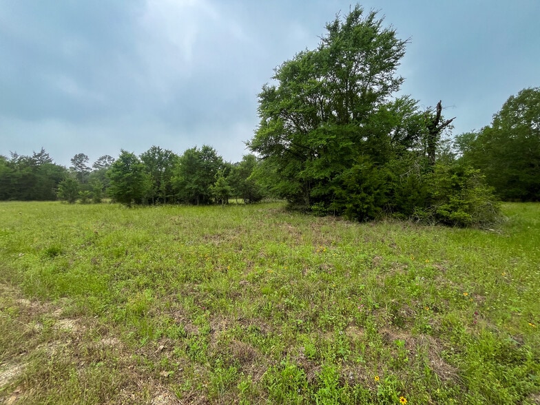 8 Ranchero Rd, College Station, TX for sale - Building Photo - Image 2 of 21