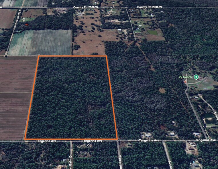 0 Tangerine Avenue, Bunnell, FL à vendre - Photo du bâtiment - Image 2 de 3