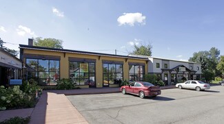 Plus de détails pour 208 S Elm St, Three Oaks, MI - Commerce de détail à vendre