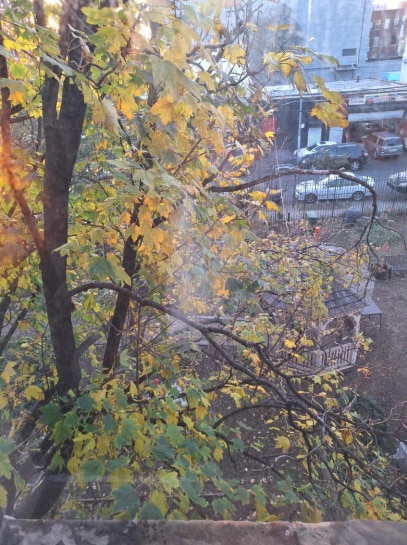 956 Rogers Ave, Brooklyn, NY for sale - Building Photo - Image 2 of 2