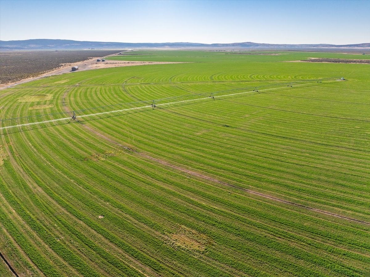 650 Tuledad Rd, Ravendale, CA for sale Primary Photo- Image 1 of 36