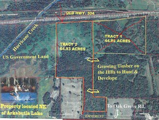 More details for Highway 304 Hurricane Creek, Hernando, MS - Land for Sale