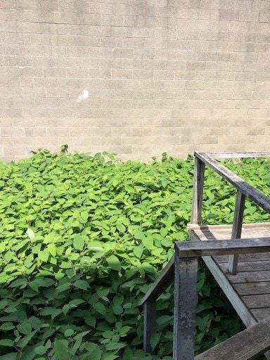 1755-1755A Victory Blvd, Staten Island, NY for lease - Building Photo - Image 2 of 4