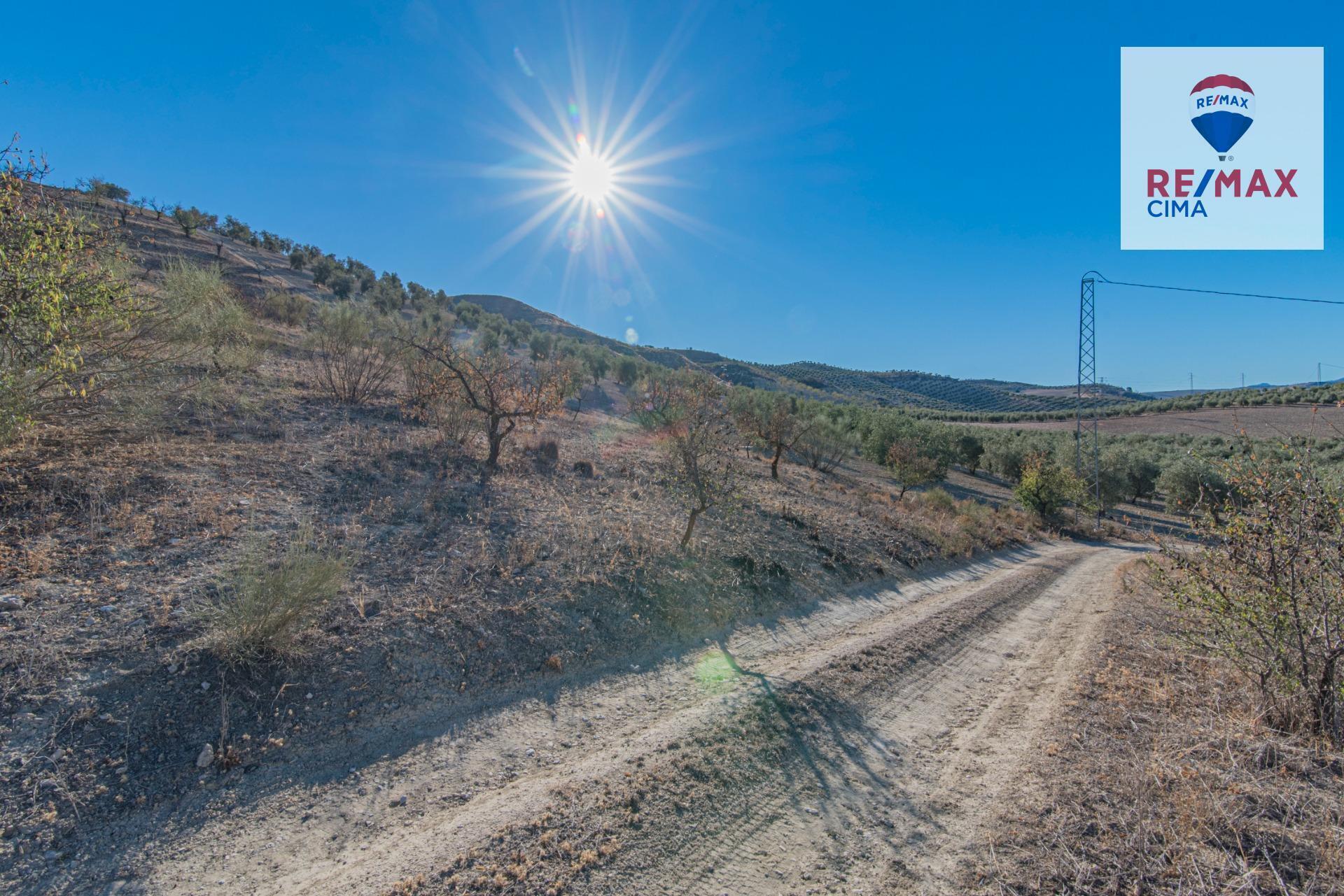 de Polígono Parcial, 2, Alhama de Granada, Granada for sale Aerial- Image 1 of 51