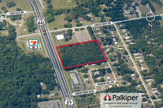 Plus de détails pour US 441 27, Fruitland Park, FL - Terrain à vendre