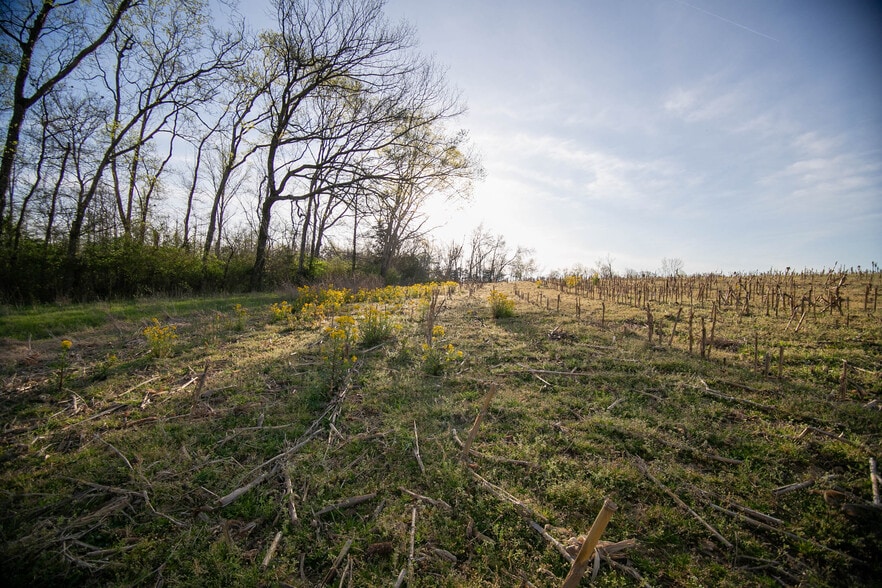 2175 Dobbins Pike, Portland, TN à vendre - Photo du bâtiment - Image 3 de 14