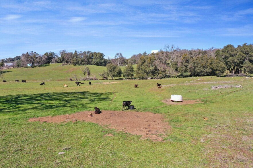 1229 Murray Creek, San Andreas, CA à vendre - Photo du bâtiment - Image 2 de 13