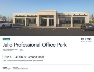 More details for State Route 54 & Meadowbrook Dr, Lutz, FL - Office for Lease