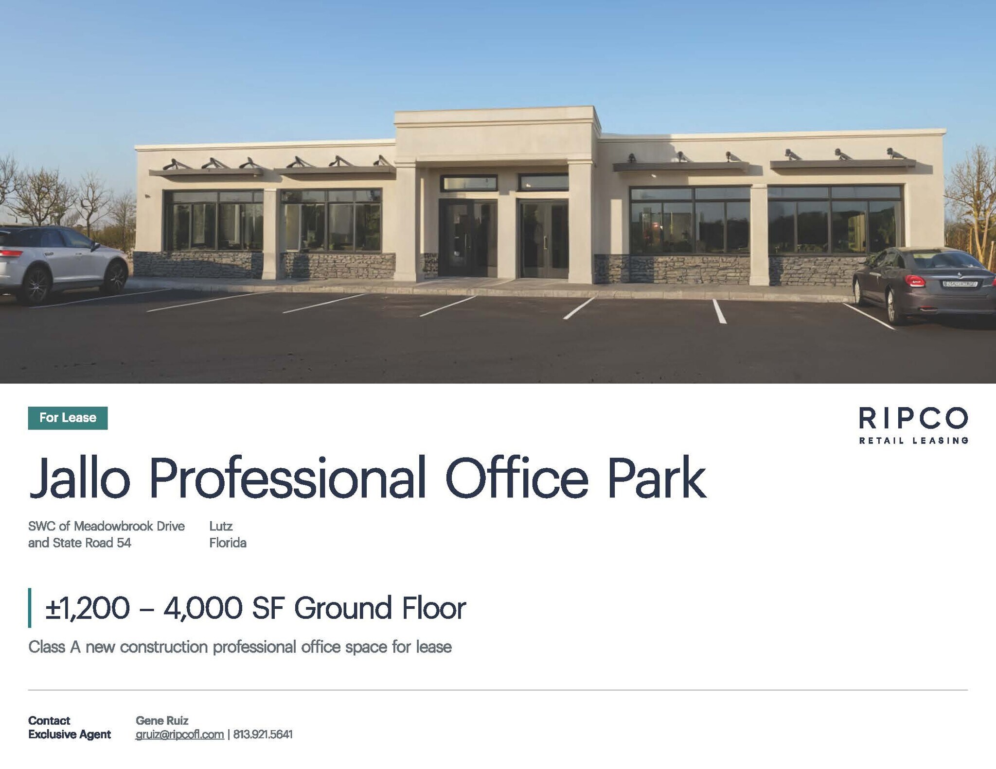 State Route 54 & Meadowbrook Dr, Lutz, FL for lease Primary Photo- Image 1 of 2