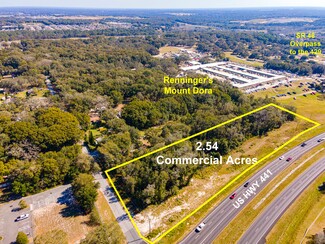 Plus de détails pour 0 0 Pine Avenue, Mount Dora, FL - Terrain à vendre