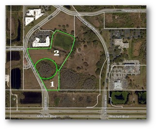 Plus de détails pour Welbilt Blvd, Trinity, FL - Terrain à vendre