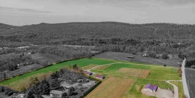 Plus de détails pour 596 Harman Rd, Halifax, PA - Spécialité à vendre