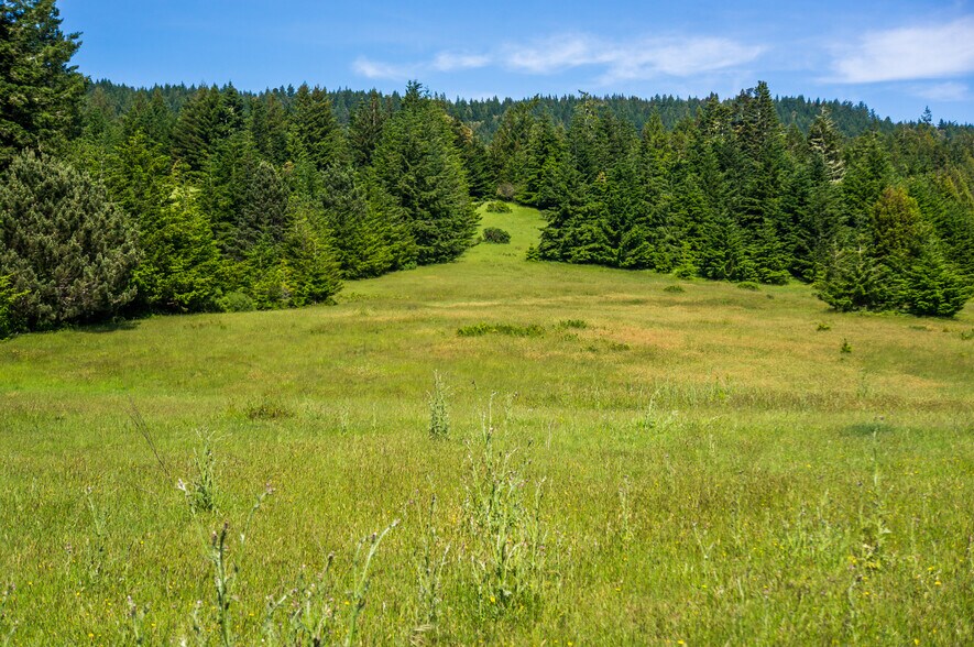 16401 South Highway 1, Manchester, CA à vendre - Photo du bâtiment - Image 2 de 52