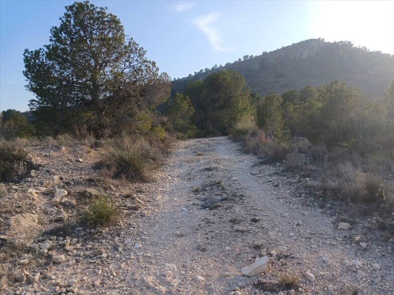 Proc. Simplificado, MONÒVER, Alicante for sale - Primary Photo - Image 1 of 20