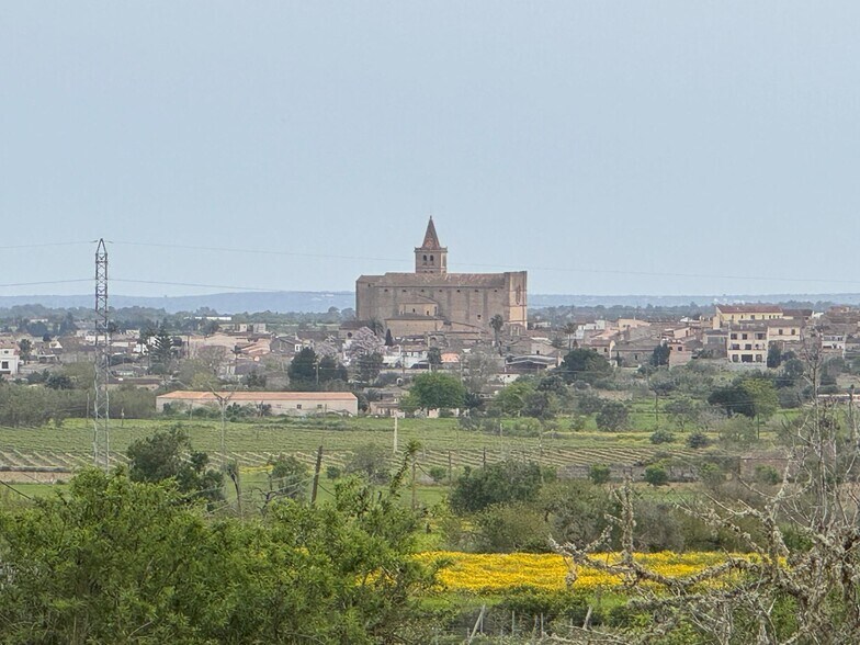 Camí Vel de Porreres, 2, Algaida, Islas Baleares à vendre - Photo du bâtiment - Image 2 de 36