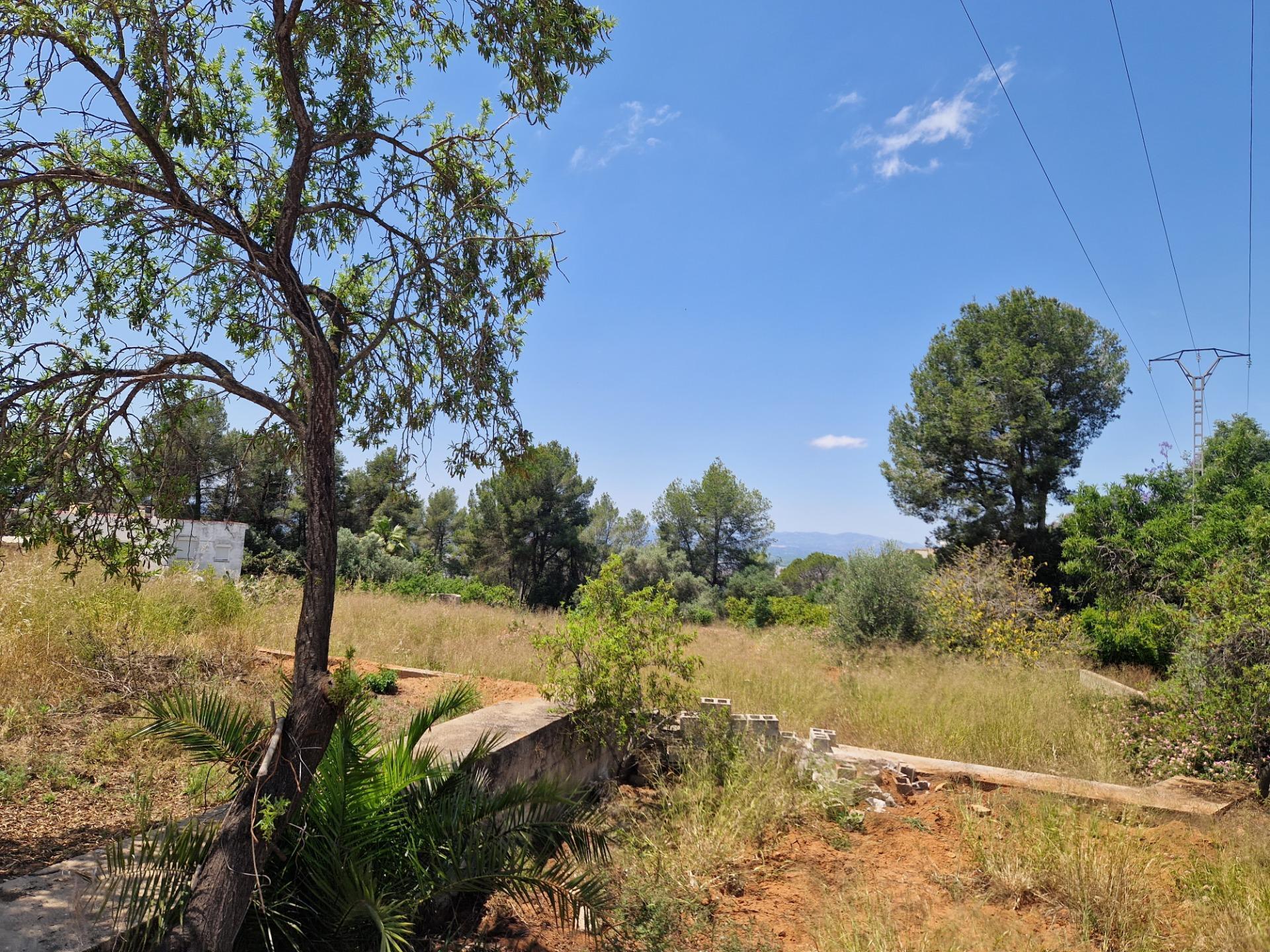 Terrain dans Alzira, Valencia à vendre Plan de site- Image 1 de 8